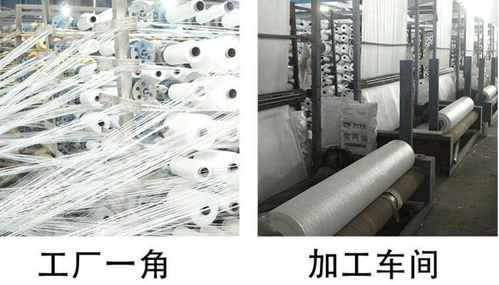 黄瓜视频APP下载污黄瓜视频免费看